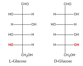 D-glucose