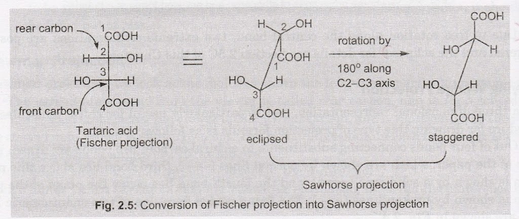 Fischer Projection to Sawhorse Projection