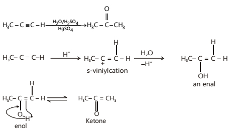 addition of H2O to alkynes