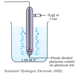 standard hydrogen electrode 